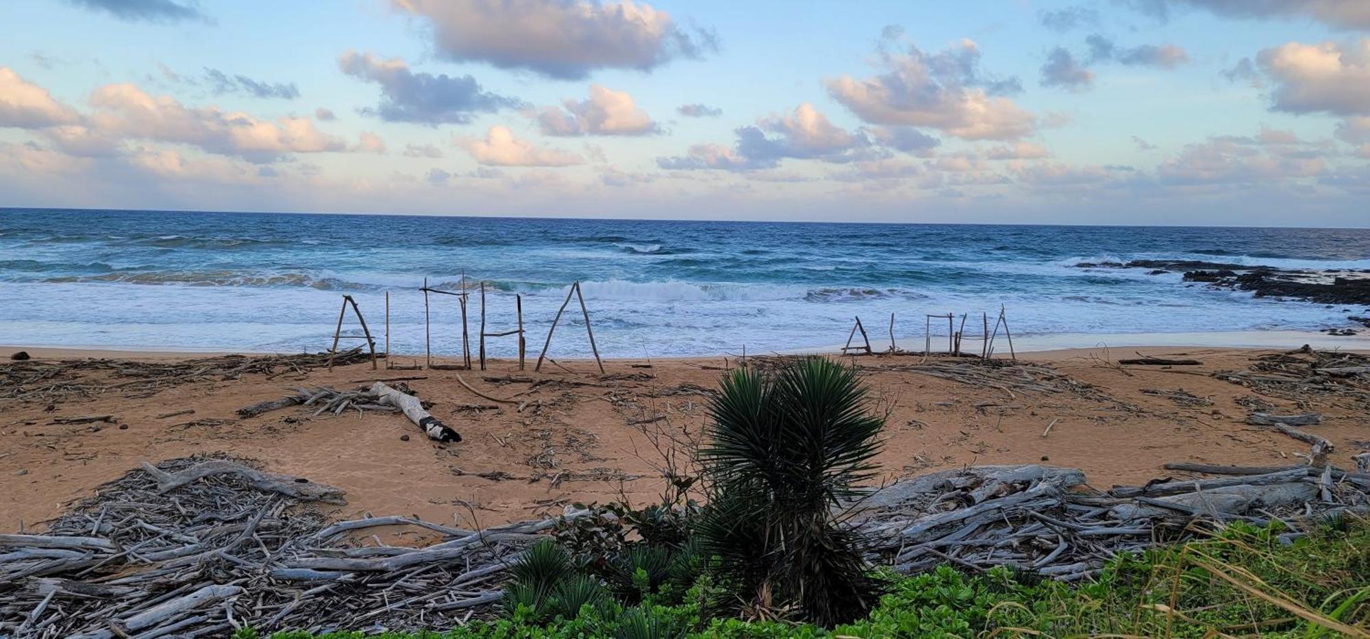 Oceanfront Kauai - Harmony Tvnc 4247 Βίλα Kapa'a Εξωτερικό φωτογραφία